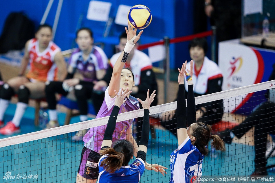 女排决赛第二回合上海0-3天津