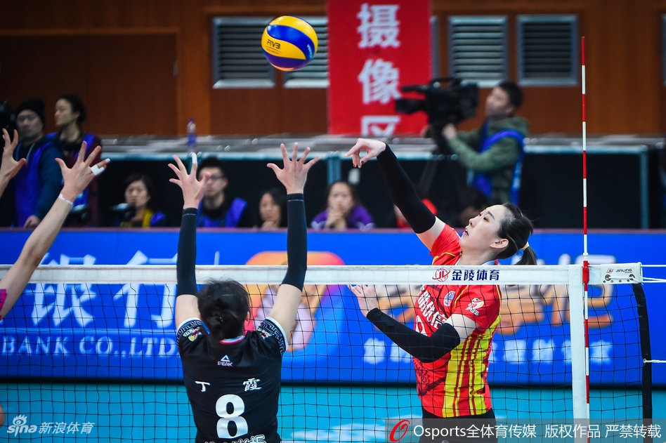 排超半决赛北京女排3-0上海女排