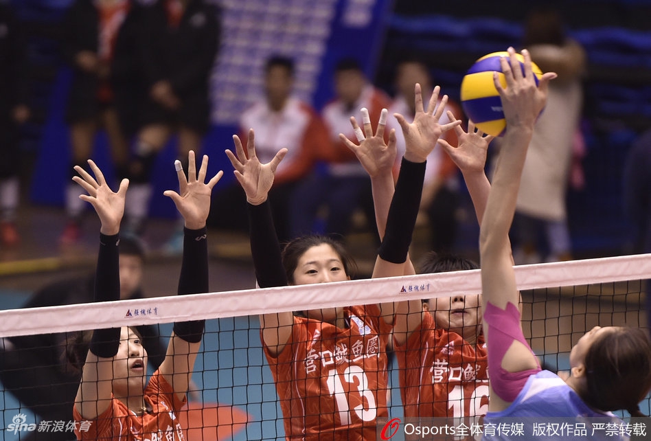 排超女排精英赛天津3-0辽宁