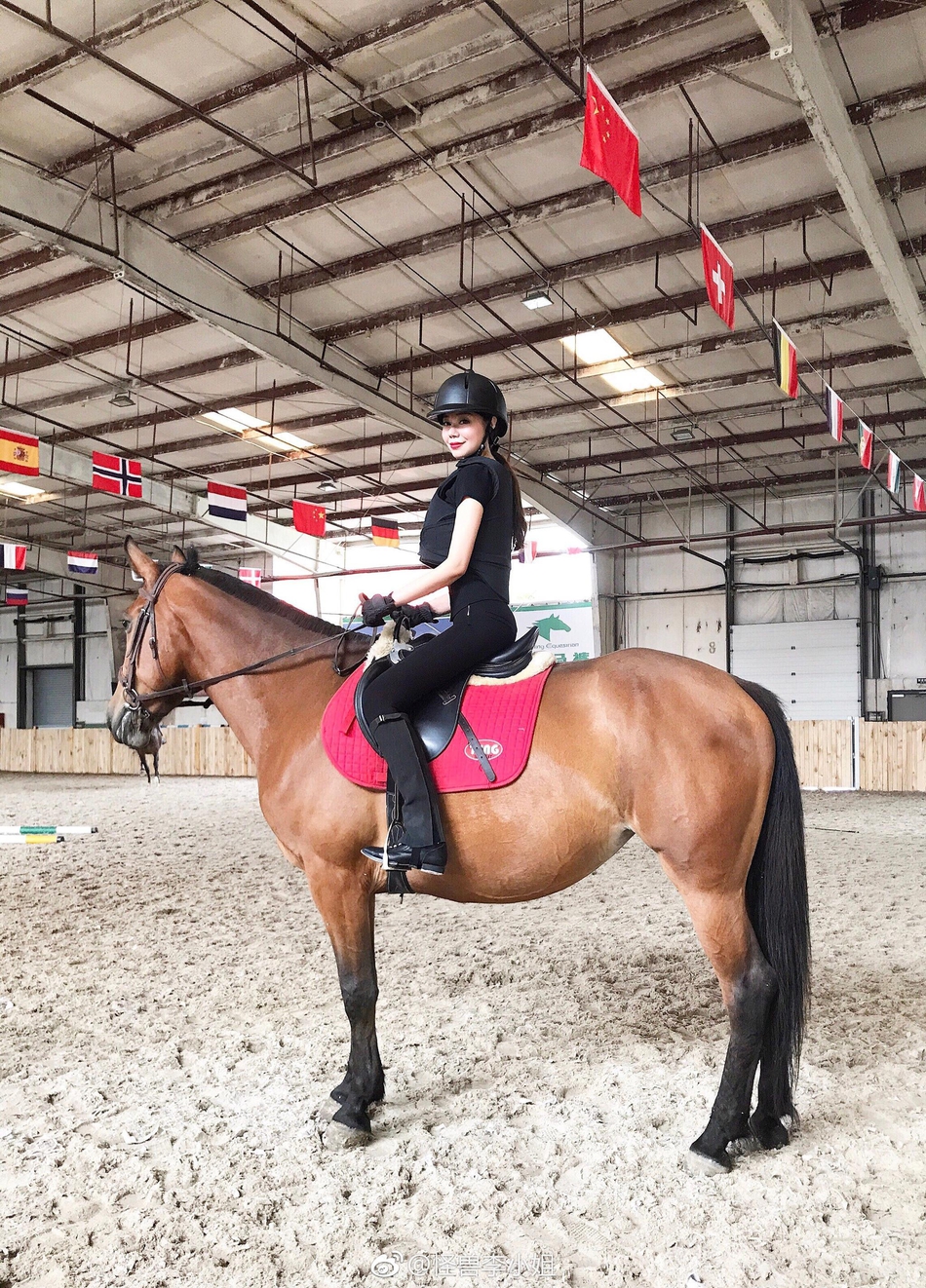 1 / 9 马术是一项充满魅力的运动,受到越来越多都市白领的喜欢.