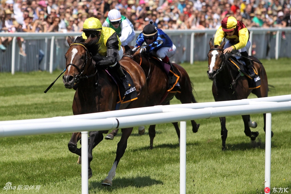 德国赛马获胜骑师激动难掩