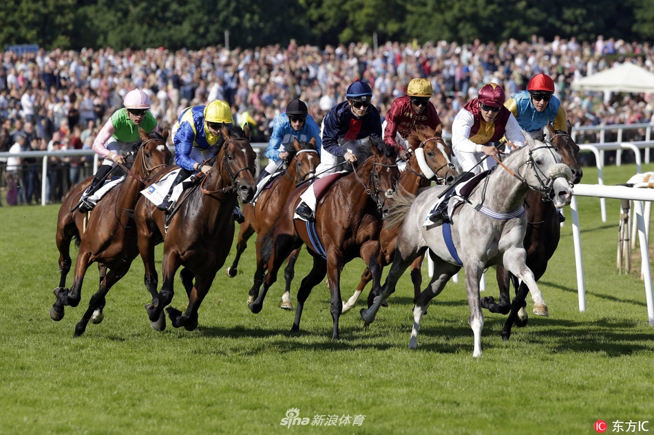 德国汉诺威赛马骑手获胜气色佳