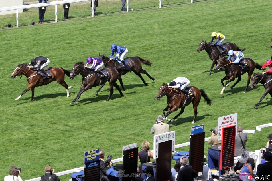 英国皇家赛马会首日精彩赛况