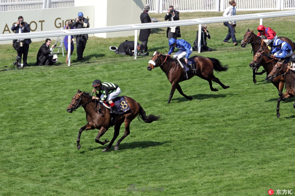 英国皇家赛马会首日精彩赛况