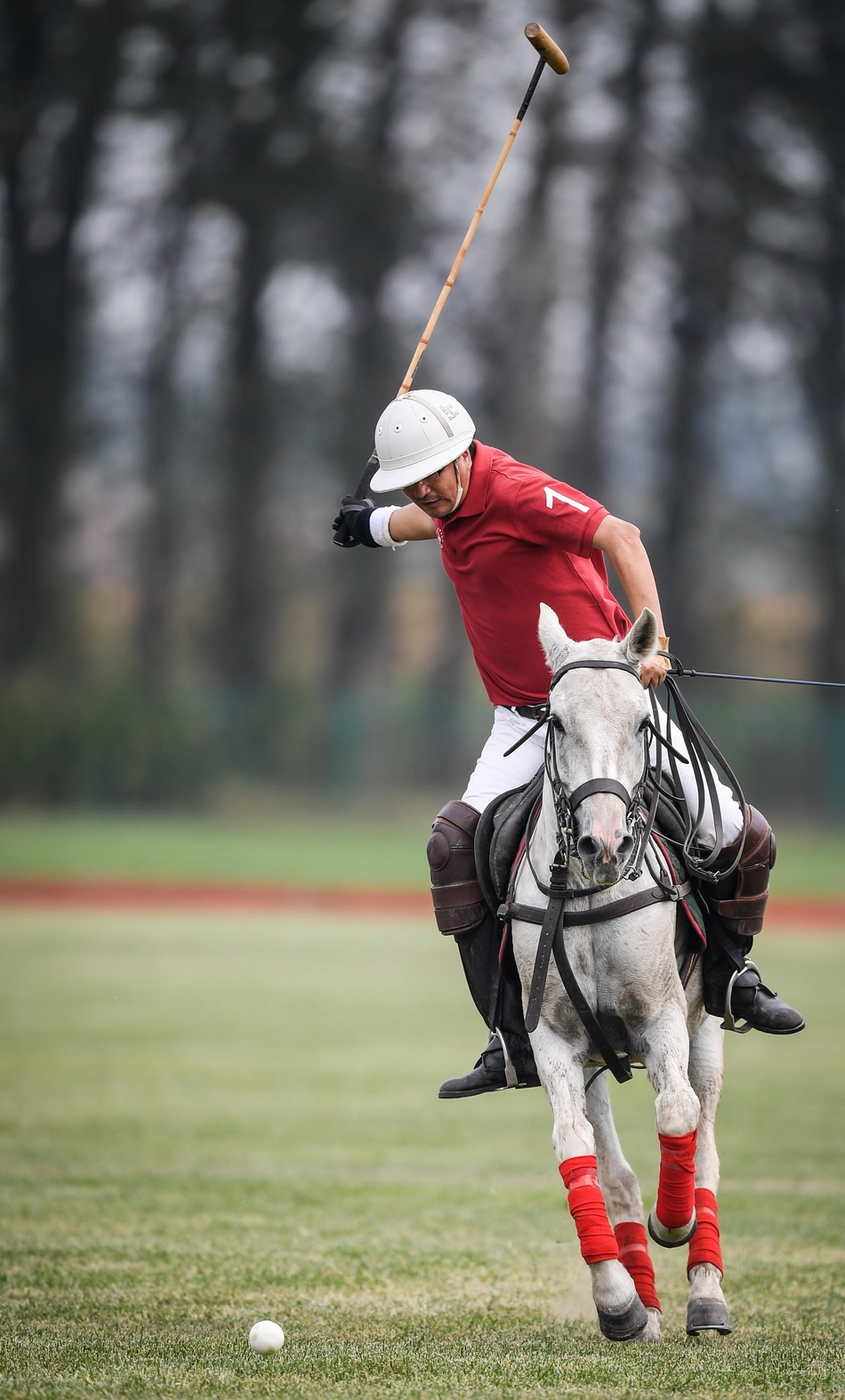 北京国际马球赛中国队挺进决赛