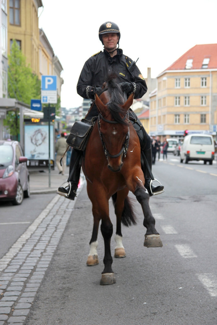 挪威帅气骑警大叔与他的爱马