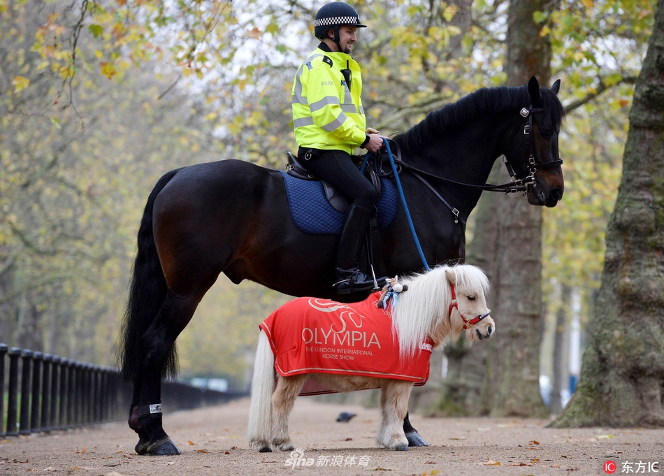 在社交网络instagram上拥有5万多名粉丝,在众网友的呼声下,英国骑警队