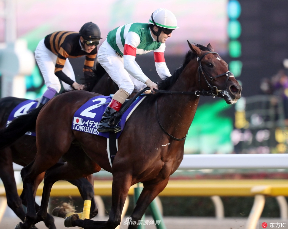 骏马飞驰2017日本杯赛马大赏