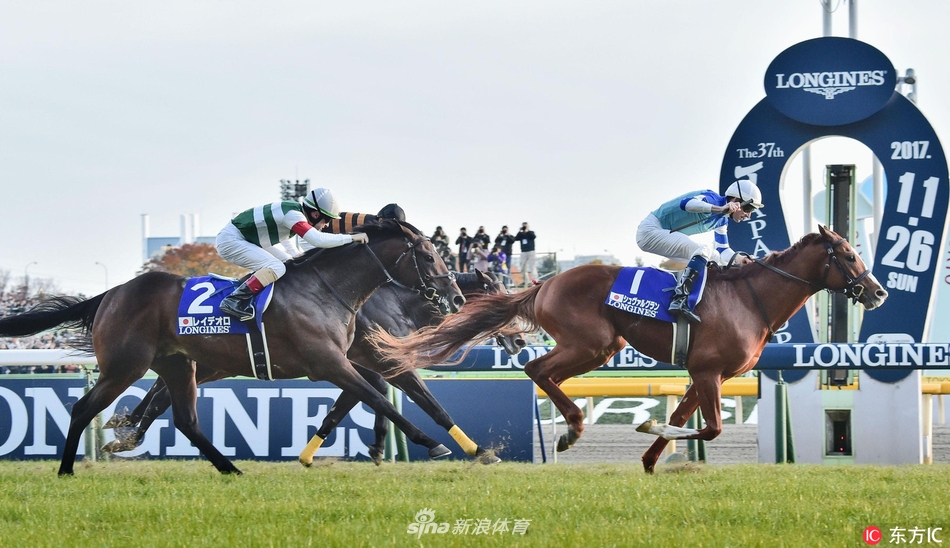 骏马飞驰2017日本杯赛马大赏