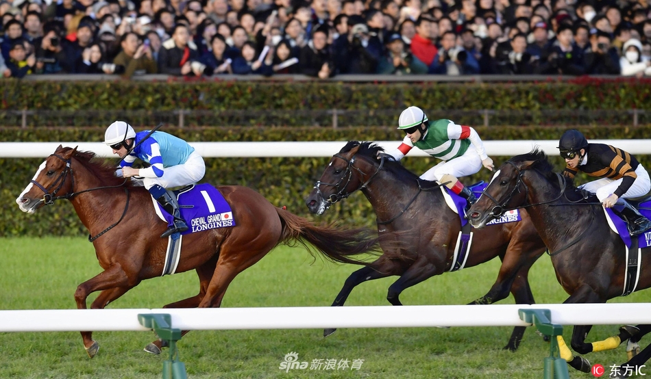 骏马飞驰2017日本杯赛马大赏