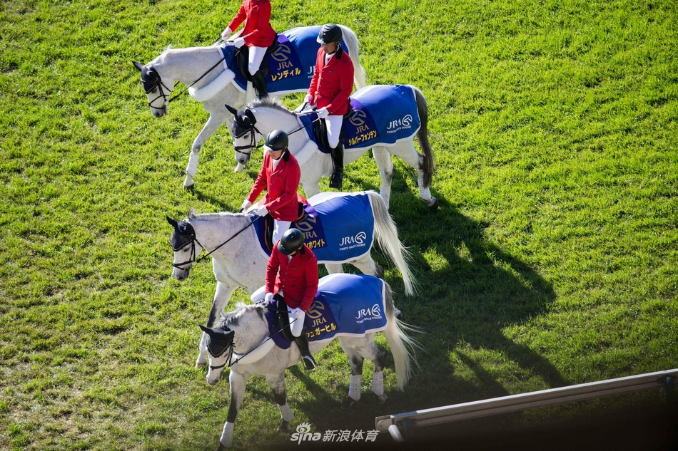骏马飞驰2017日本杯赛马大赏