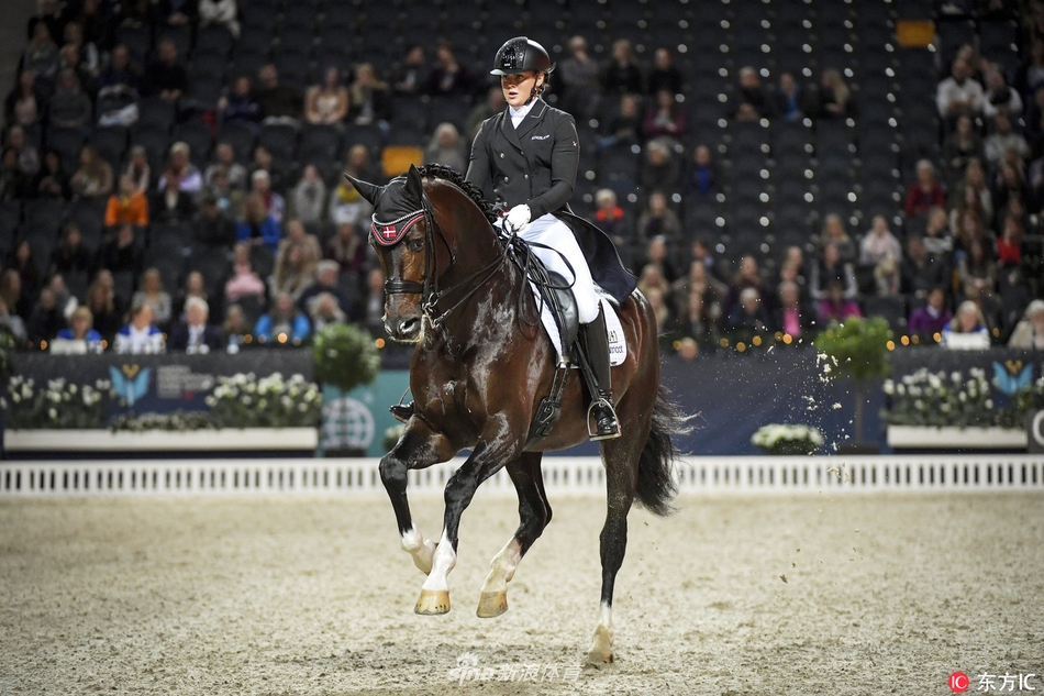 瑞典国际马展人马合一翩翩起舞