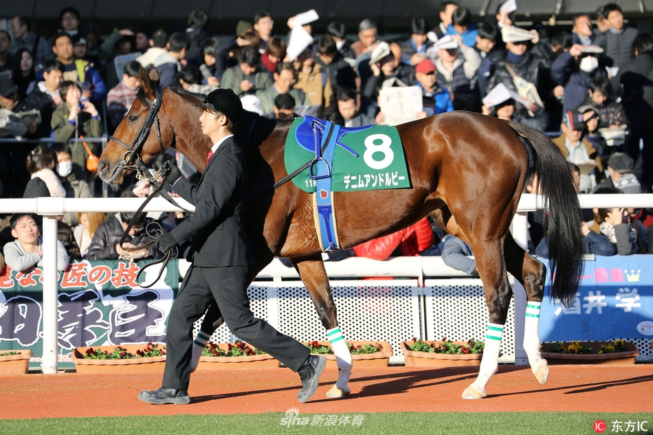 日本赛马挑战者杯杜满莱夺冠