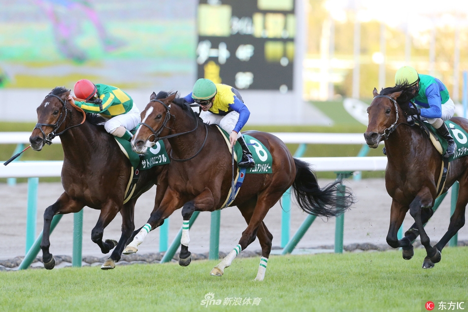 日本赛马挑战者杯杜满莱夺冠
