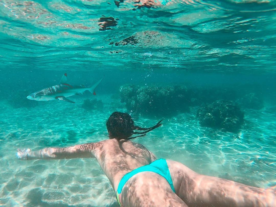 她老爸10亿+美元身家，她貌美如花身材火辣，还敢与鲨鱼玩耍