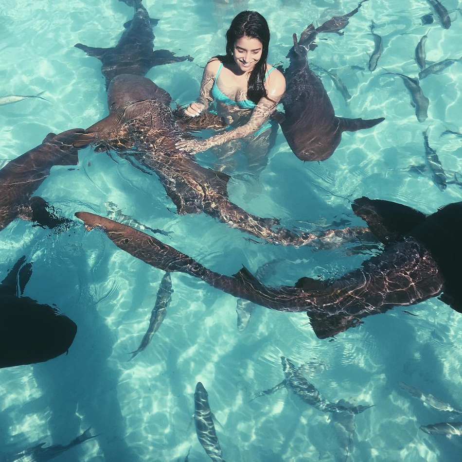 她老爸10亿+美元身家，她貌美如花身材火辣，还敢与鲨鱼玩耍