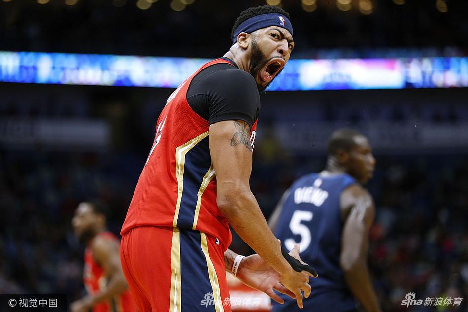 No.3 宠物是一只猴子