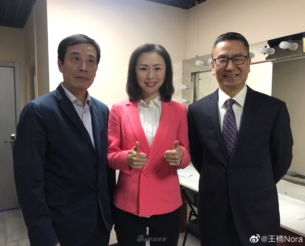 陈戌源、王楠、白岩松