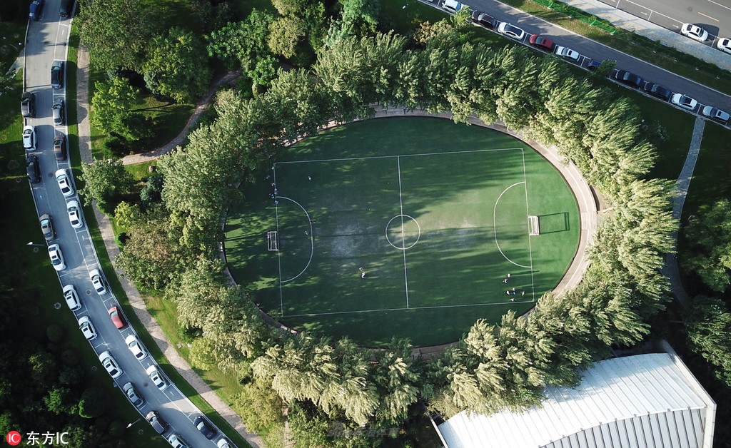沈阳-城市中的独特球场
