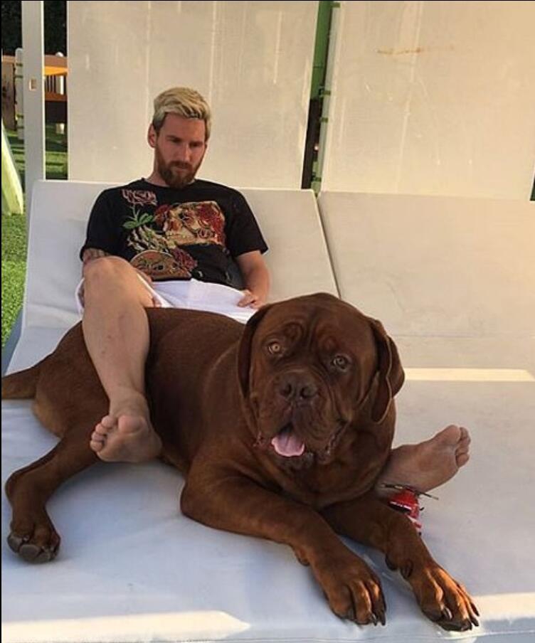 还原优质偶像梅西 孝子良友好丈夫