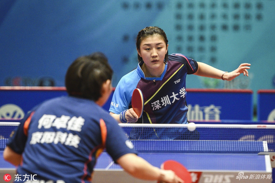 乒超女团鸿安京阳vs深圳