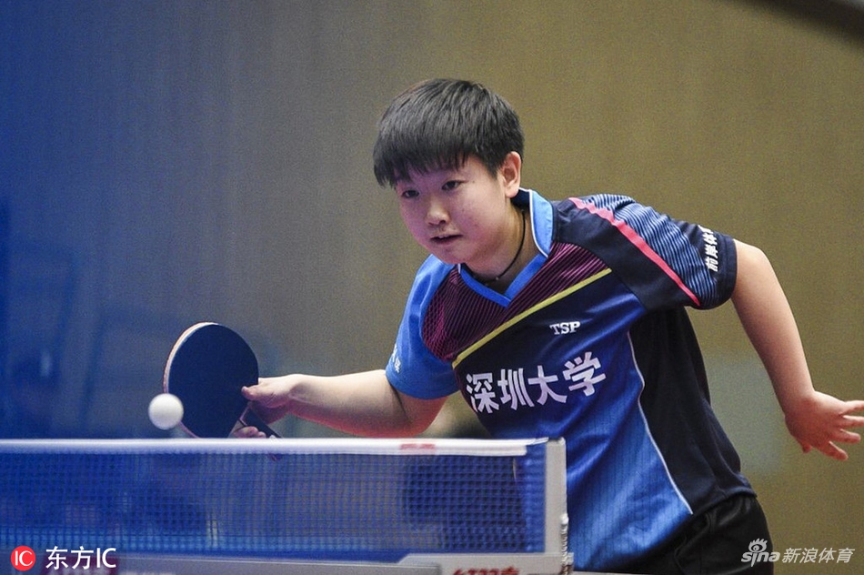 乒超女团鸿安京阳vs深圳