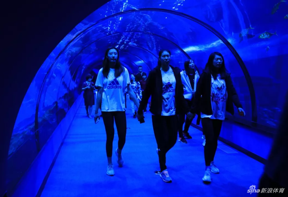 中国女排春游畅游福建天柱山