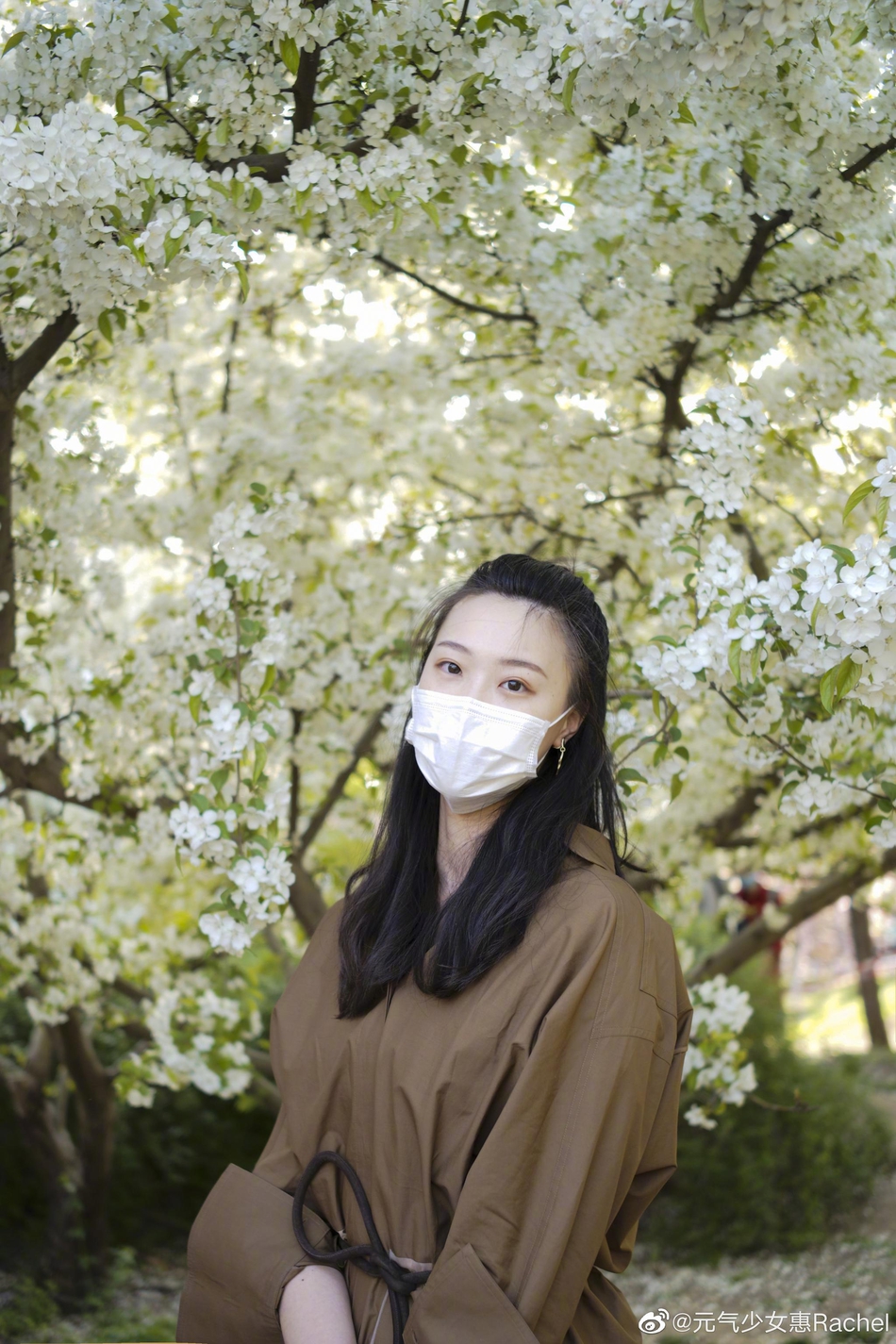 惠若琪踏青 樱花下楚楚动人