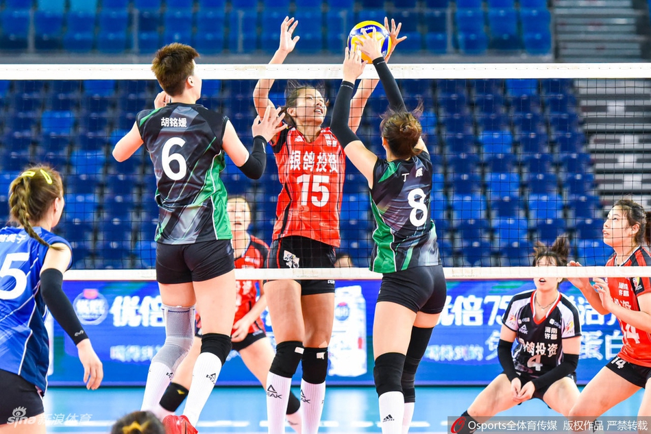 排超第二阶段辽宁女排3-0河南