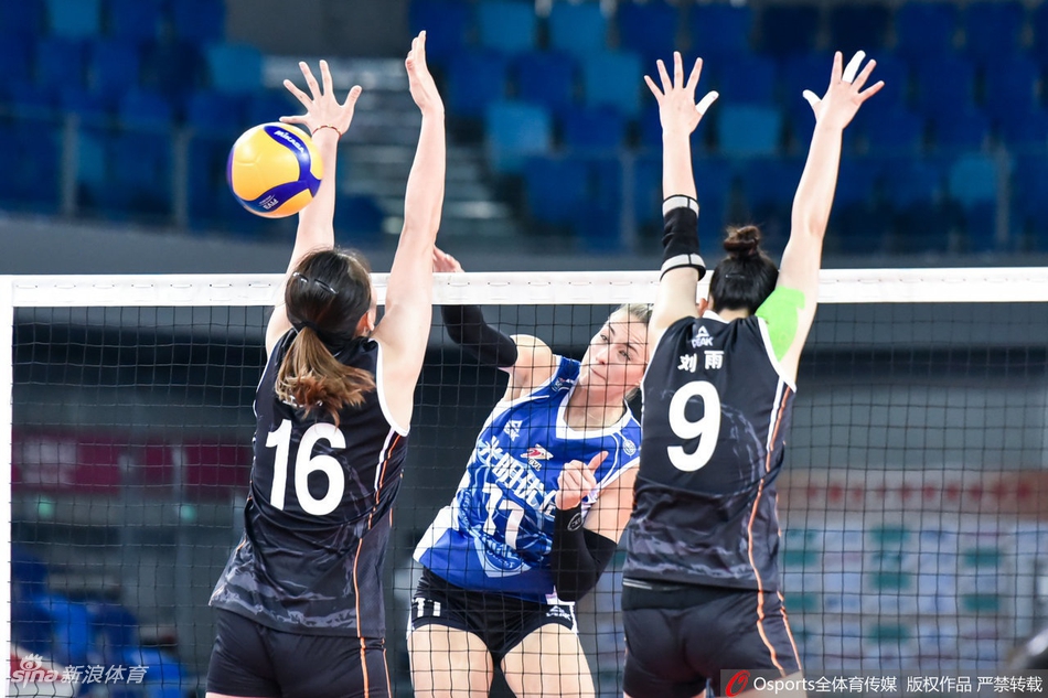 联赛上海女排3-0浙江