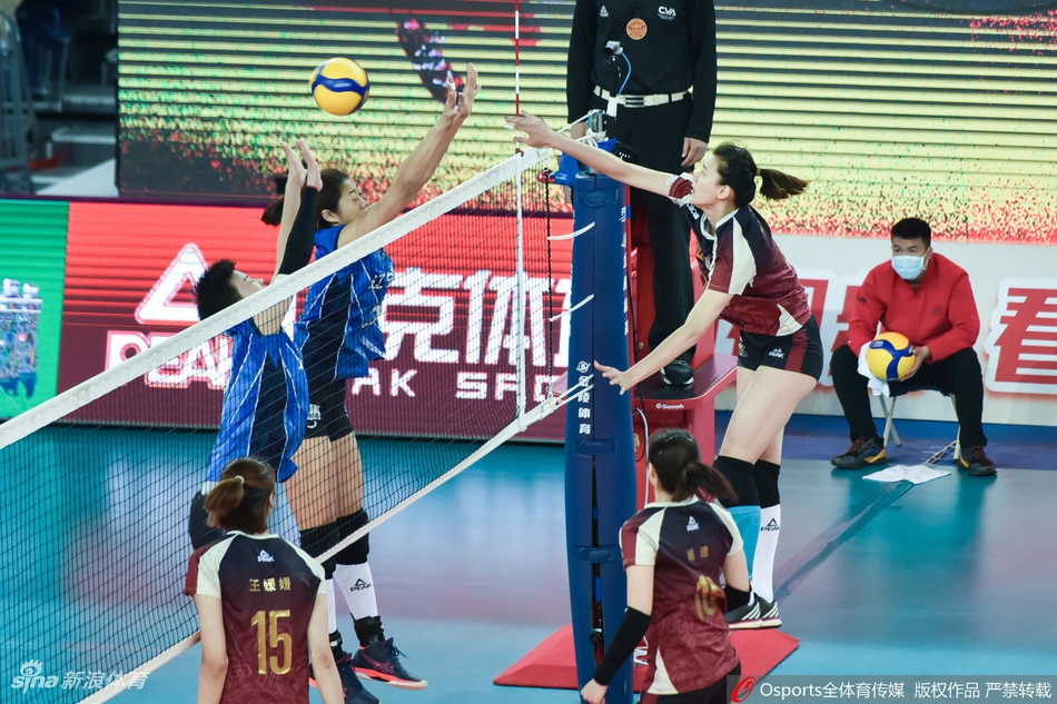 朱婷19分天津女排3-0再胜辽宁