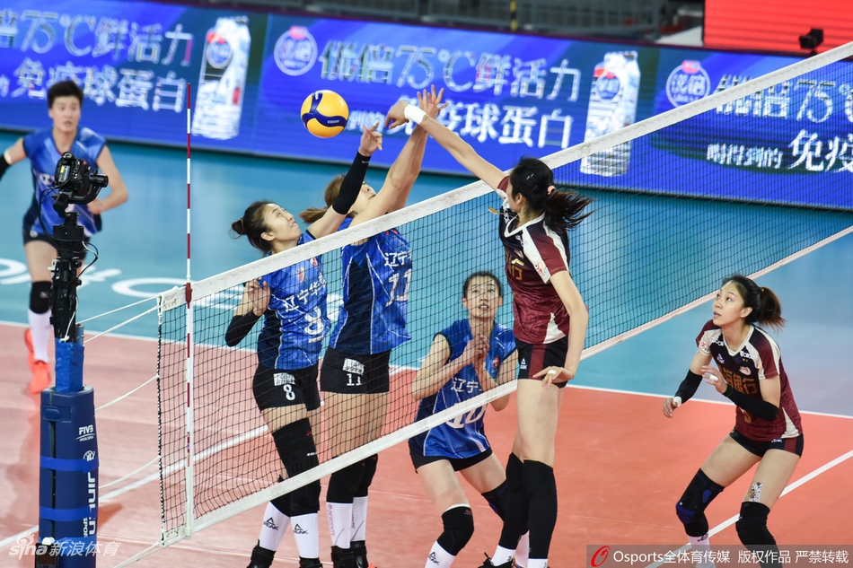 朱婷19分天津女排3-0再胜辽宁