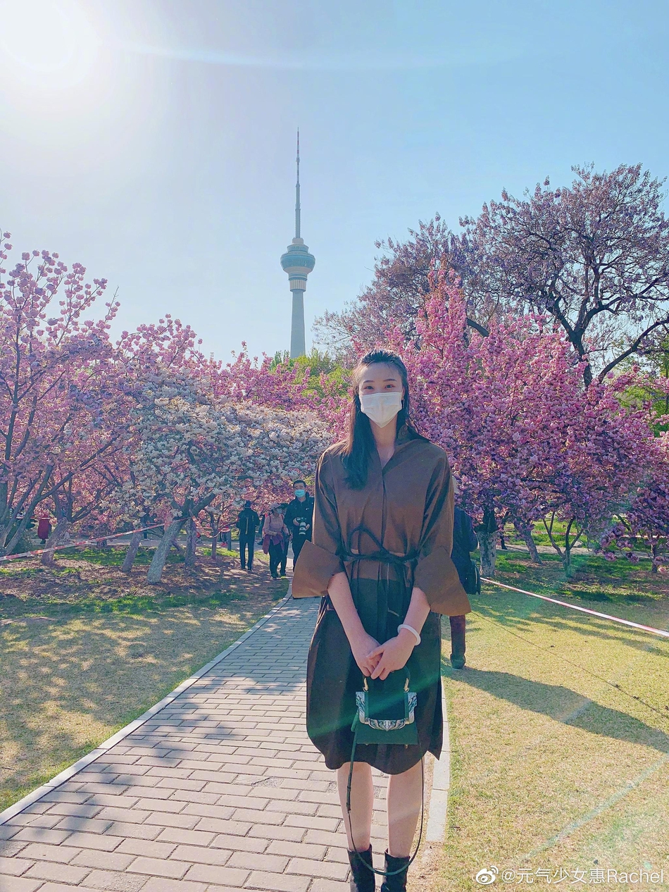 惠若琪踏青 樱花下楚楚动人