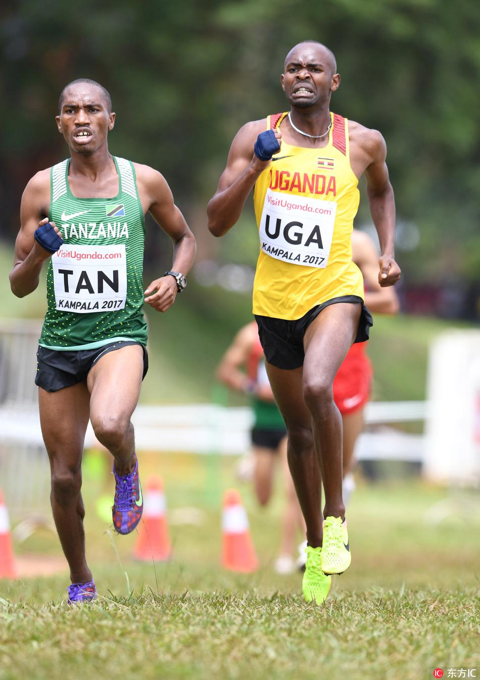 国际田联世界越野锦标赛混合赛:肯尼亚夺冠