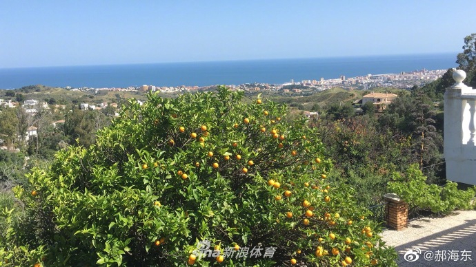 郝海东再晒豪宅：花园太大了，我活的太难了