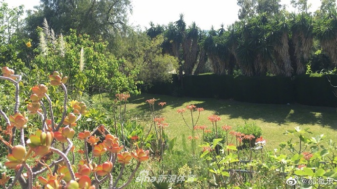 郝海东再晒豪宅：花园太大了，我活的太难了