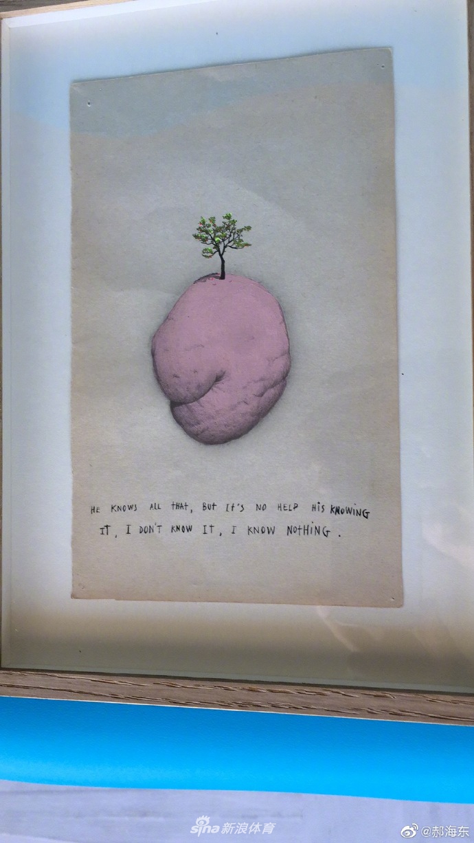 郝海东再晒豪宅：花园太大了，我活的太难了