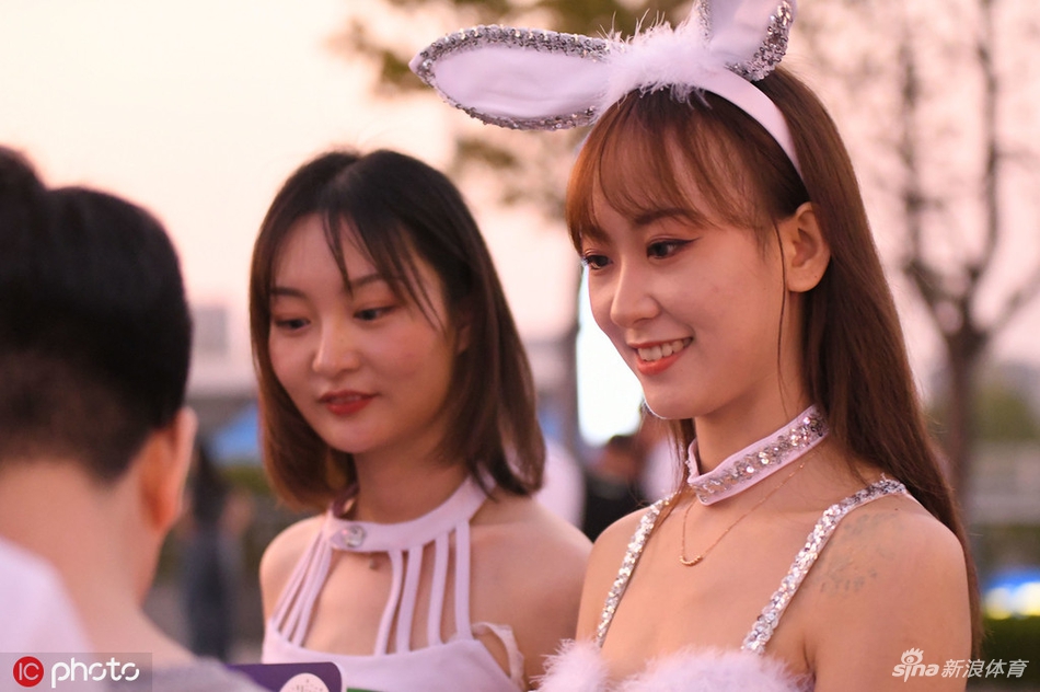 苏宁主场兔女郎引人注目