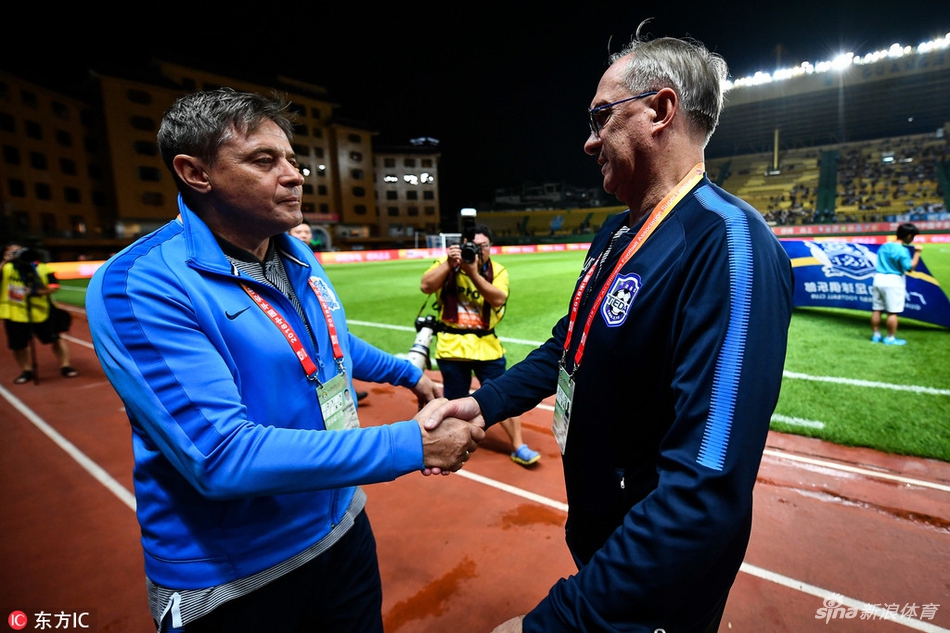 施蒂利克与斯托握手