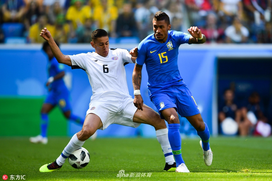 “暴力鸟”的暴力瞬间