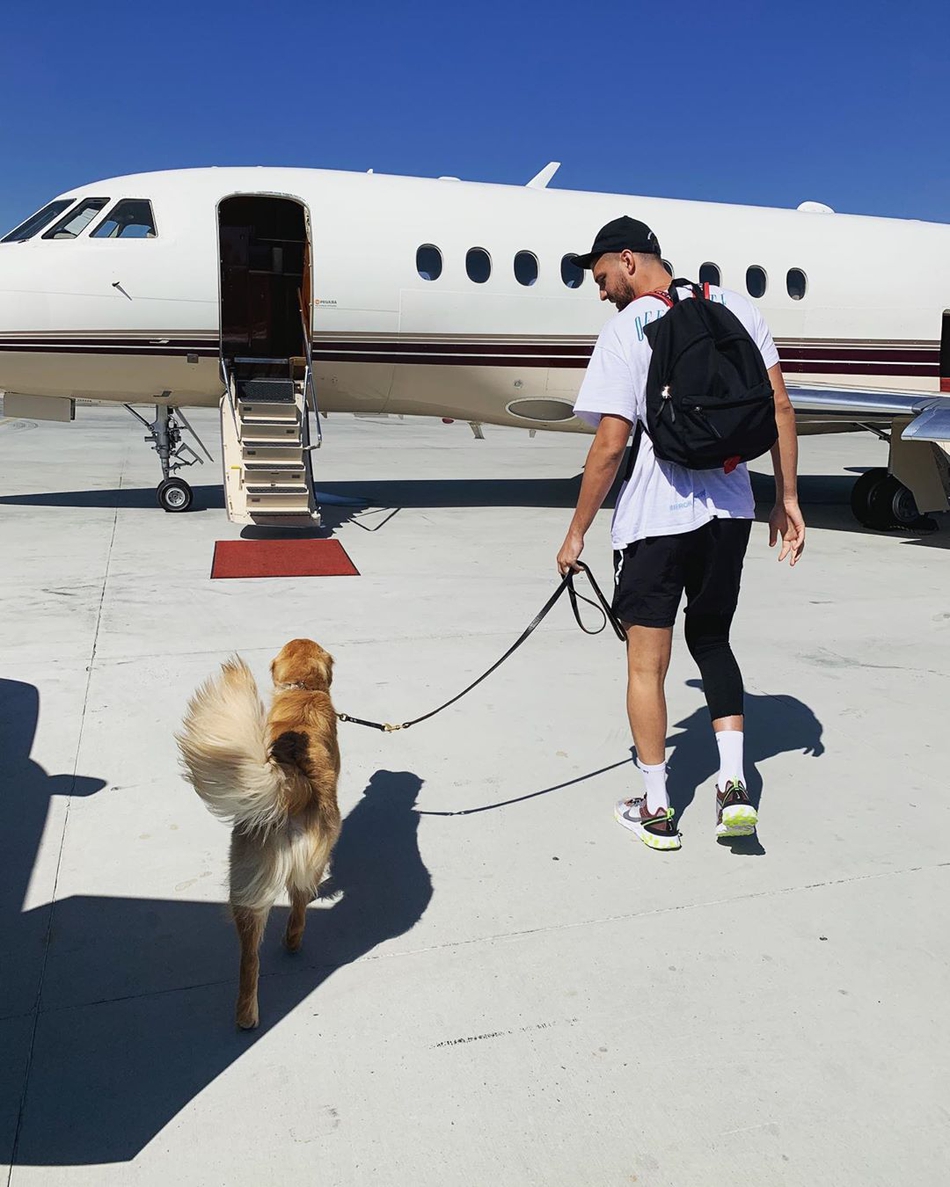 帕森斯带爱犬上飞机