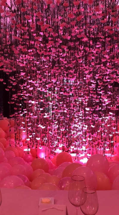 骑士大将携孕妻科勒举行派对