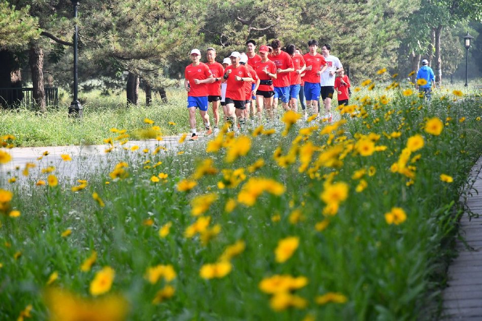 北汽男排今日开跑 天坛吉象祝福六一