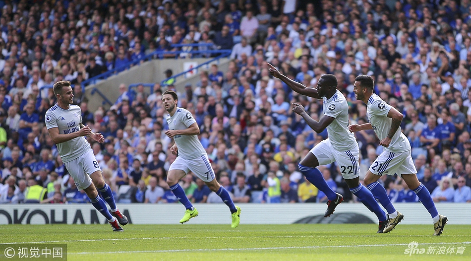 卡迪夫城庆祝进球