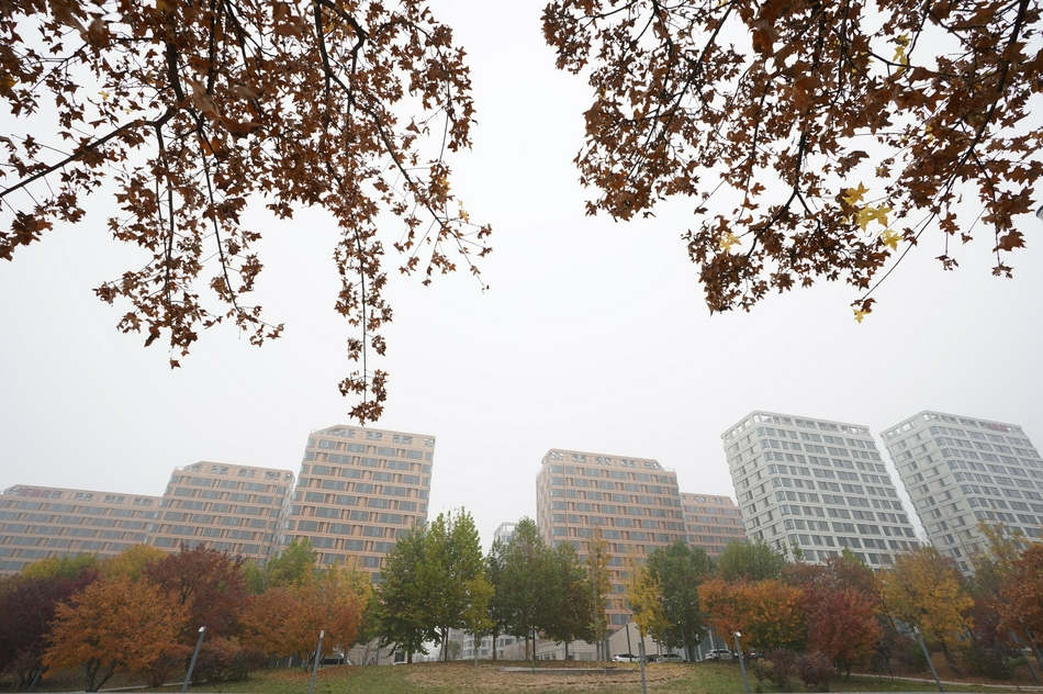 探访北京冬奥村：为运动员打造“冬奥健康家园”