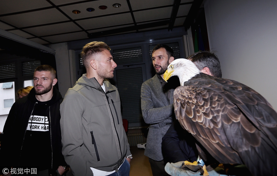拉齐奥进学校 蓝鹰大鹏展翅