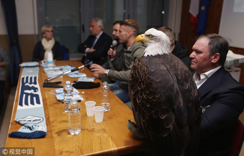拉齐奥进学校 蓝鹰大鹏展翅