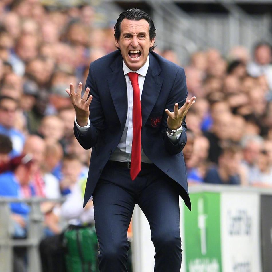 阿森纳激情主帅埃梅里