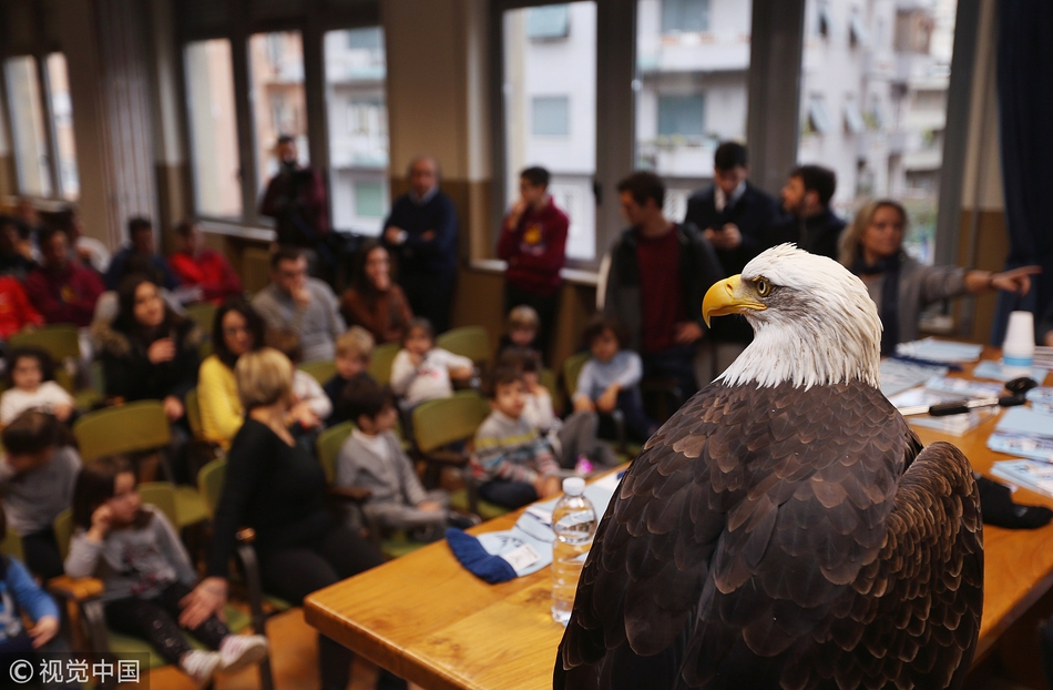拉齐奥进学校 蓝鹰大鹏展翅
