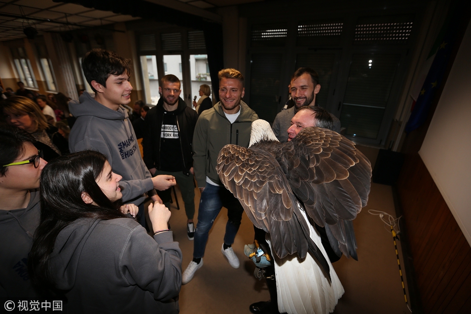 拉齐奥进学校 蓝鹰大鹏展翅
